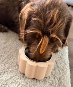 Kleine voerbak voor kleine hond of kat door taste of wood